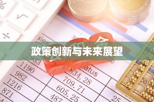 助手政策创新与未来展望