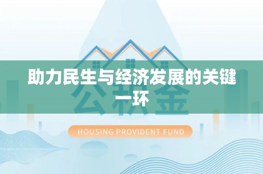 助手助力民生与经济发展的关键一环